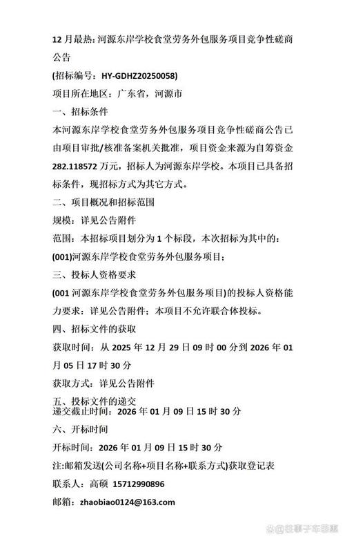 12月最热:河源东岸学校食堂劳务外包服务项目竞争性磋商公告