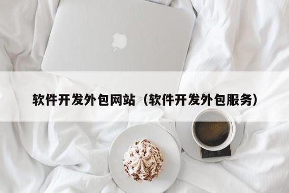 软件开发外包网站(软件开发外包服务)